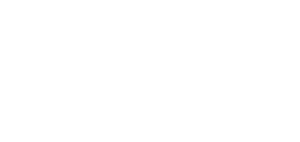 banish media white logo